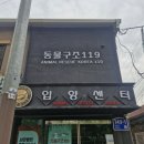 영등포구 문래동주민센터 | 유기견봉사활동_동물구조 119 (영등포구 문래동) 장소, 준비물, 후기