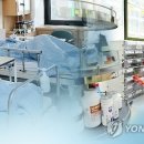 내성용역