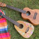 우쿨렐레(초급반) 이미지