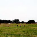 용강목장 이미지