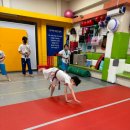 선부태권도장 이미지