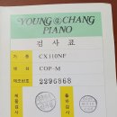 스위첸피아노 이미지