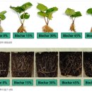 농업회사법인주식회사만나 이미지
