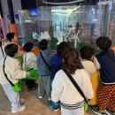 부영청훈태권도장 이미지