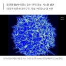 에이즈 바이러스, 완전 정복의 길 열렸다 이미지