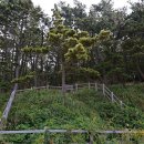 삽시도우리펜션 이미지