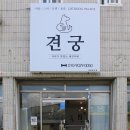 견궁 이미지