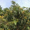 무랑민박 이미지