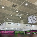 <빅도어 시네마-광주여성영화제> 페미니즘 영화인문학 산책 | 책 산책 시키는 사람의 서울국제도서전 나들이
