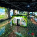 아르떼뮤지엄 이미지