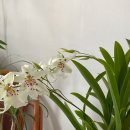 성중농장 이미지