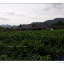 용추휴양림(상) 이미지