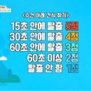 개들랜드 이미지