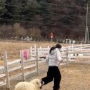 진태목장 이미지