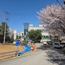 번암리 조천 연꽃공원2 이미지