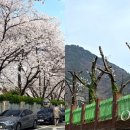 성산구 ⓒ-31 이미지