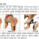 고관 이미지