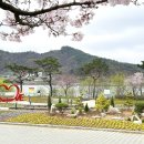 생태공원 태양광주차장 뉴스1