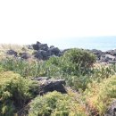 마라도 재활용 도움센터 이미지