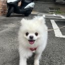 여주-0825 이미지