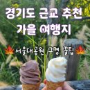 서울대공원 | 서울 근교 주말 가을 여행지 추천. 추워지기 전 꼭 가봐야 할 서울대공원 후기