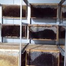 먹이창고 이미지