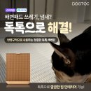 DA기획 이미지