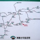 천안본정형외과의원 Daum카페