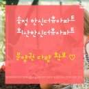 코리아부동산공인중개사사무소 이미지