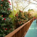 예양공원 이미지