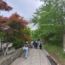 5월순례＜1줄무덤 성지＞ 이미지