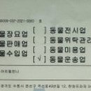 아리엘언니 이미지