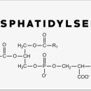 굿모닝바이오 이미지