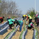 남현동-4 이미지