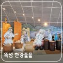 한강유통 | 서울 나들이 뚝섬 한강공원 자벌레 한강플플, 이야기 전시관에서 배우는 한강의 역사와 어제와 오늘