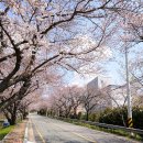 마산기술지원과(마산농업기술센터) 이미지