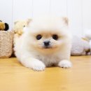 장수건강 이미지