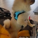 비울채울 이미지