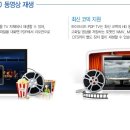 PAVV PC Daum카페