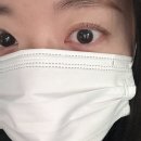 엑스퍼트짐 교대점 | 강남 서초동 노글루 속눈썹펌 잘하는 곳 가성비 추천, 교대 속눈썹펌 크레이지왁싱