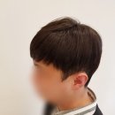 에이치스타일가발