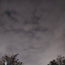 (주)로코모 이미지