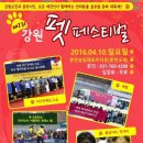 펫페스티벌 이미지