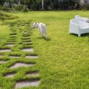 뽀송하랑 이미지