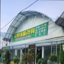 샤롯데플라워