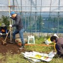 창민농장 이미지