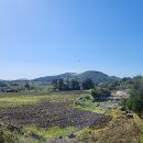 구좌공설묘지 | 제주 구좌읍 종달리 오름, 동검은이오름 산책 후기