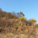 T.G공인중개사사무소 이미지