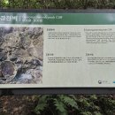 구룡폭포길 | 2025.08.09. 남원 구룡계곡 - 구룡폭포 방장제일동천 트레킹