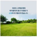 경희대장안태권도 이미지